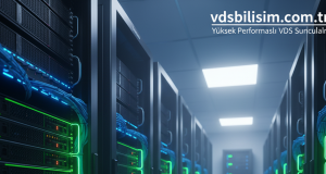 VDS Nedir