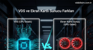 VDS ve ekran kartlı sunucu farkları